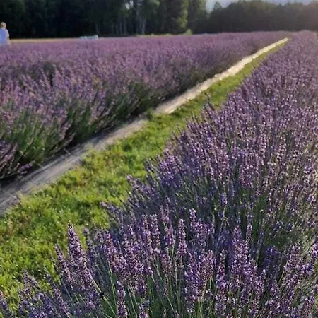 House In Near Stettiner Haff Vakantiehuis