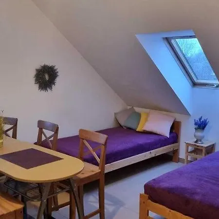 Casa de Férias House In Near Stettiner Haff