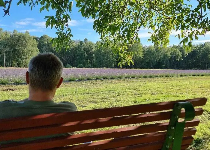 House In Near Stettiner Haff Holiday home Wolin