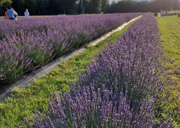 House In Near Stettiner Haff Holiday home