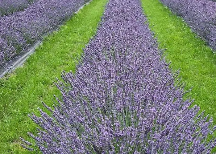 Holiday home House In Near Stettiner Haff *